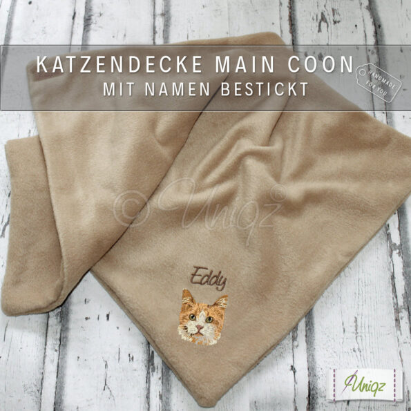 Katzendecke.MainCoon