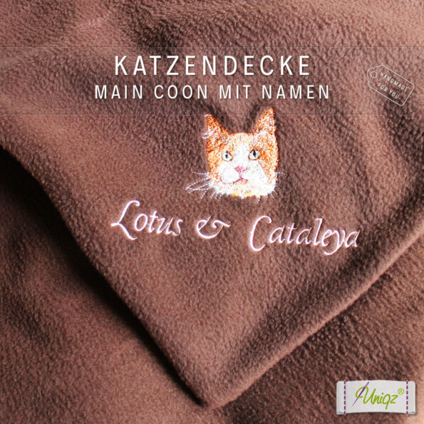 KatzendeckeCoonie