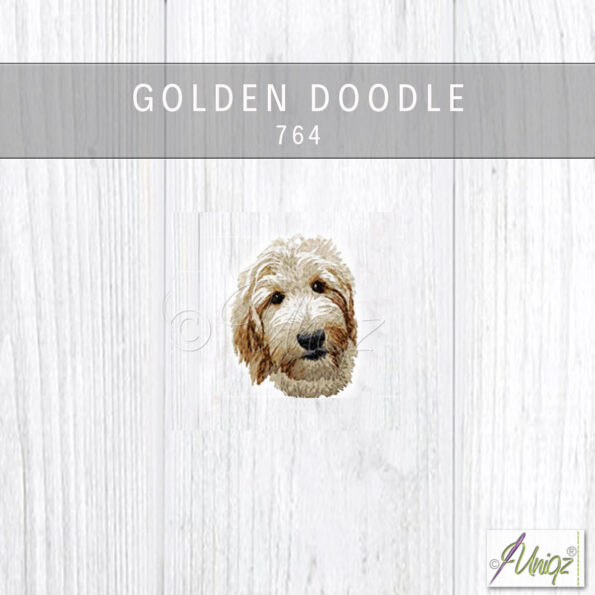 golden doodle 764