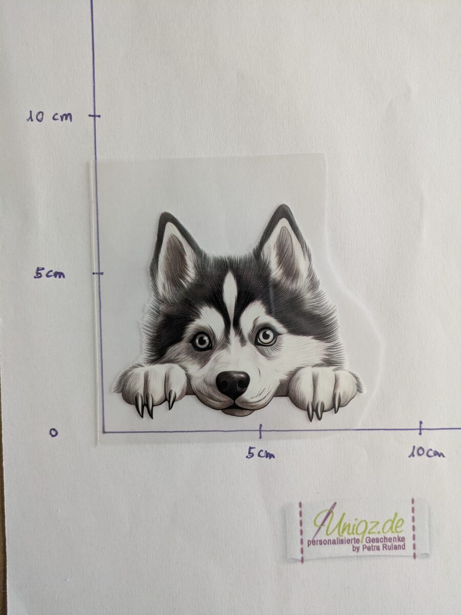 Bügelbild Husky Kantengucker