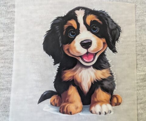 Berner Sennenhund
