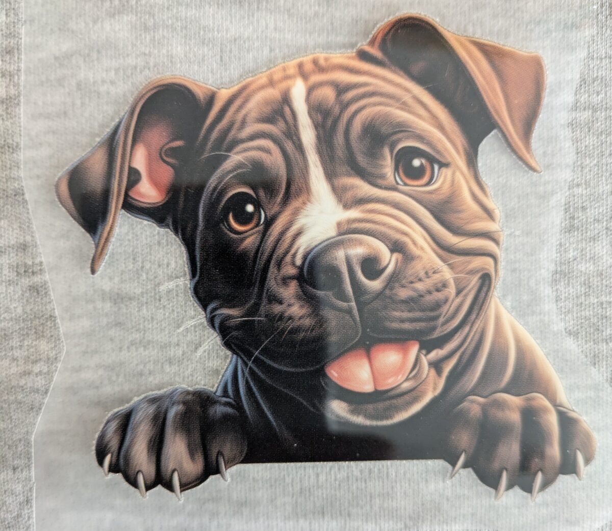 American Staffordshire Terrier Bügelbild