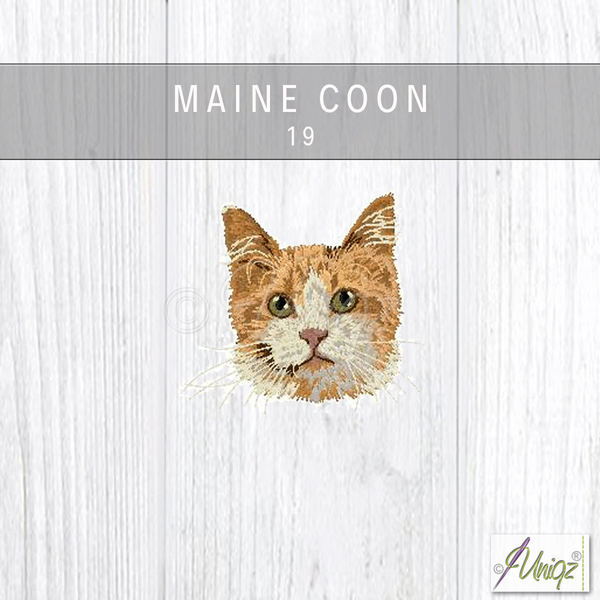 Maine Coon Kopf